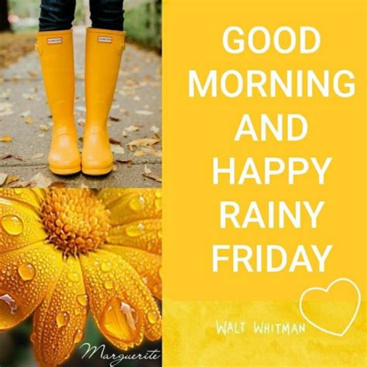 Embracing The Charm Of A Good Morning Friday Rainy Day