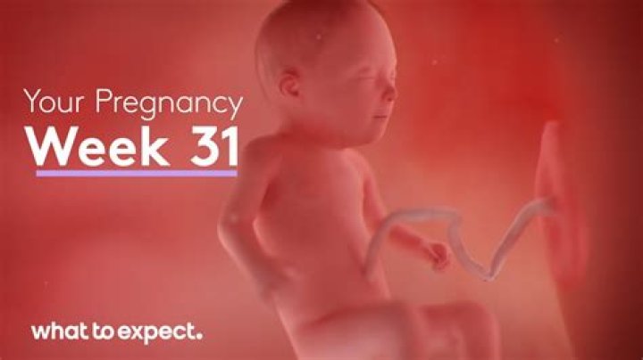 Embracing The Journey: What To Expect At 31 Weeks Pregnant