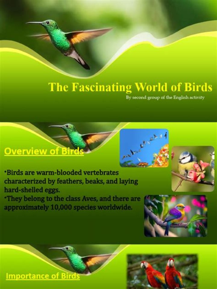 Exploring The Fascinating World Of Bleeth