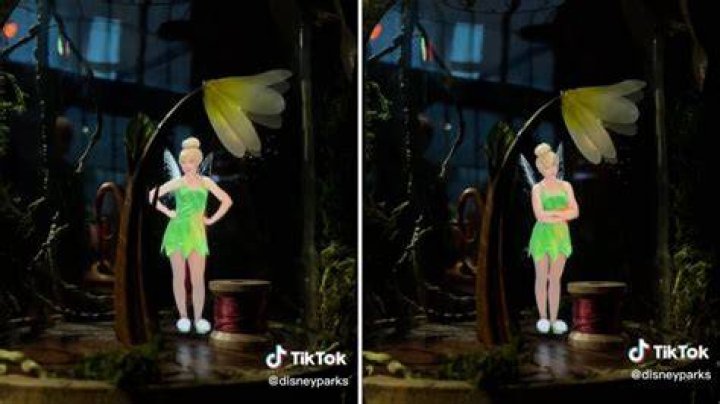 How big is Tinkerbell?