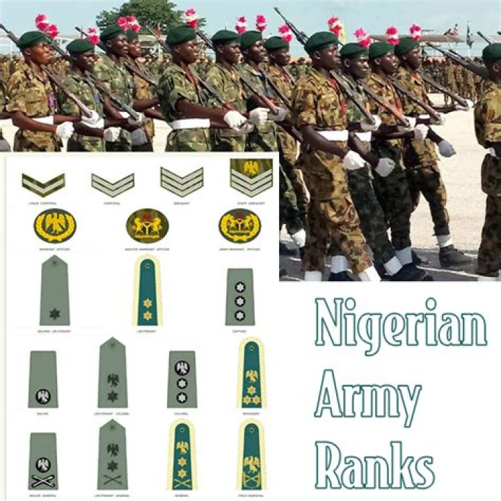 Navigating The Nigerian Army: Understanding Ranks And Logo