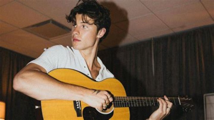Shawn Mendes Net Worth