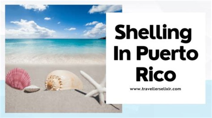 Shell Collecting Etiquette: Can You Bring Shells Home From Hawaii?