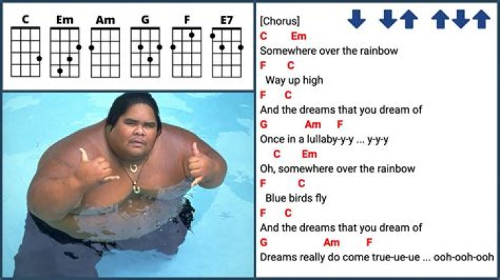 The Ultimate Guide To The Over The Rainbow Hawaii Guy