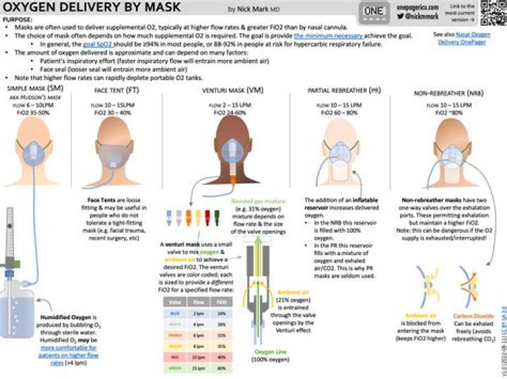 Understanding The Effects Of Excessive Oxygen: Is Too Much Oxygen Bad For You?