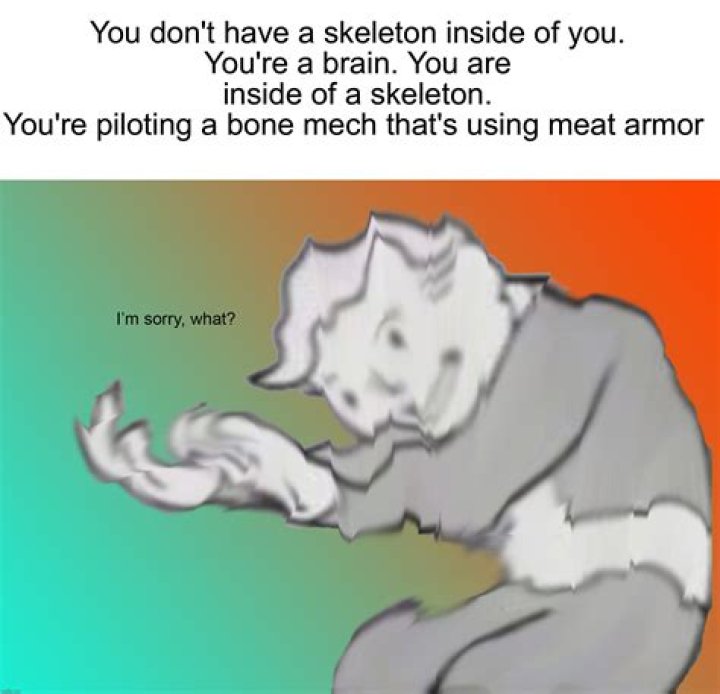 Unraveling The Hilarity Of Bone Memes
