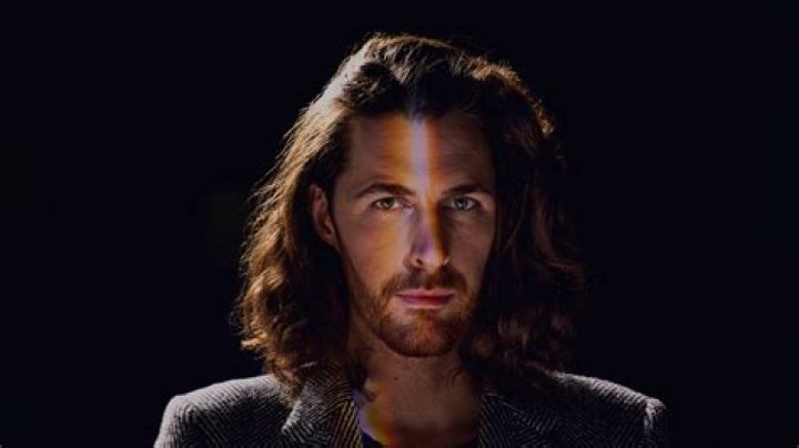 Unveiling The Mystery: Does Hozier Have A Brother?