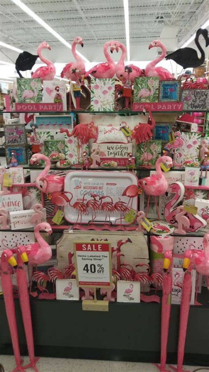 What could Flamingo buy with $13.18 million?
