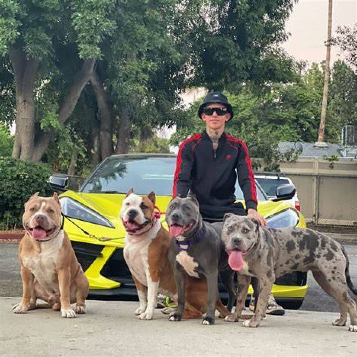 What could The Dog Daddy buy with $6.7 million?