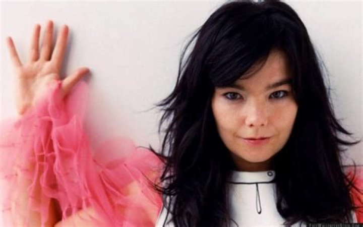 Why is Björk so famous?